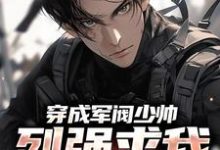 完结版《穿成军阀少帅，列强求我别扩军了》在线免费阅读-瑞奇文学