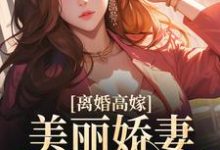 求离婚高嫁：美丽娇妻哪里逃小说免费资源-瑞奇文学