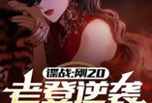 完整版的谍战：刚20，老登逆袭什么鬼？小说在哪里可以免费读到？-瑞奇文学