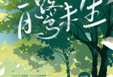 小说《我为她入狱,她却即将去世》完整版章节免费阅读-瑞奇文学