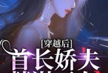 完整版的穿越后，首长娇夫蓄谋已久小说在哪里可以免费读到？-瑞奇文学