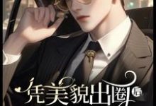 凭美貌出圈后 ,不婚沈总要娶我这本小说怎么样?免费在线阅读试试-瑞奇文学