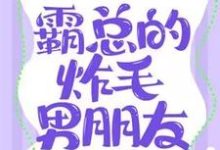 完结版《霸总的炸毛男朋友》免费阅读-瑞奇文学