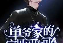 免费看单爷家的宝贝可软可A小说的网站有哪些？-瑞奇文学