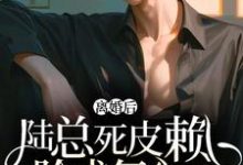 求离婚后，陆总死皮赖脸求复合小说免费资源-瑞奇文学