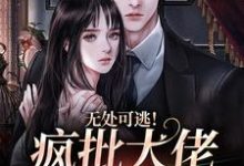 无处可逃！疯批大佬强制爱完整版最新章节，无处可逃！疯批大佬强制爱章节在线阅读-瑞奇文学