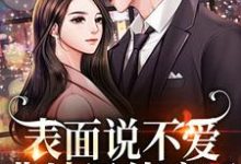 《表面说不爱,背地里他疯了》小说大结局免费试读 秦芷斯慎明小说-瑞奇文学