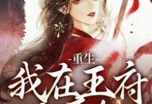 叶阮完整版小说《重生：我在王府当医妃》免费阅读-瑞奇文学