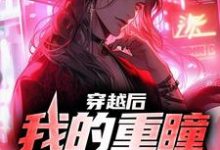 求穿越后，我的重瞳超无敌小说免费资源-瑞奇文学