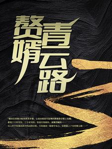 在线免费阅读赘婿青云路完整小说