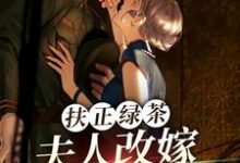 在线寻找扶正绿茶?夫人改嫁少帅你哭什么小说的无删减版本-瑞奇文学