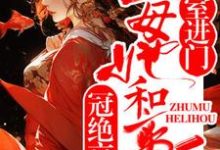 外室进门？主母她和离后冠绝京城小说全文阅读需要付费吗？寻找免费资源-瑞奇文学