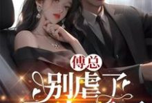 哪里能找到傅总，别虐了，太太死了小说的最新更新和免费章节？-瑞奇文学