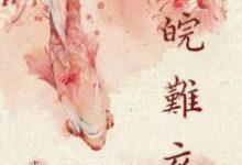 完结版《皖难衣》在线免费阅读-瑞奇文学