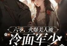 姜辛夷沈默小说免费阅读完整版-瑞奇文学