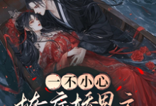 一不小心，撩病娇男主上瘾了颜汐，一不小心，撩病娇男主上瘾了章节在线阅读-瑞奇文学