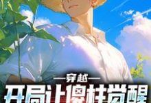 穿越：开局让傻柱觉醒，不做舔狗张峰傻柱，穿越：开局让傻柱觉醒，不做舔狗完整版最新章节-瑞奇文学