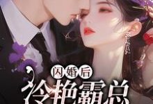 《闪婚后,冷艳霸总宠妻无度》小说章节列表免费试读,耿迟渊秦慕瑶小说在线阅读-瑞奇文学