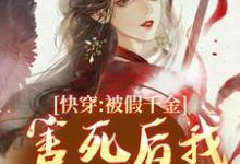 完结版《快穿：被假千金害死后我无限闯关》免费阅读-瑞奇文学