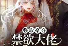 《强取豪夺：禁欲大佬独宠我一人》沈摘星池骁完整版小说免费阅读-瑞奇文学