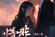 完整版小说《情非不得你》免费阅读-瑞奇文学