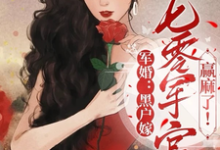 军婚：黑户嫁七零军官赢麻了！小说无弹窗阅读的网站推荐-瑞奇文学