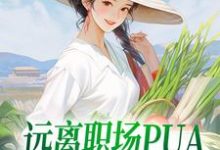 远离职场PUA，我决定回家赶海章节免费在线阅读，陆佳怡完结版-瑞奇文学