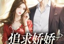 追求娇娇只需一颗糖完整版小说，追求娇娇只需一颗糖林跃贺小软-瑞奇文学