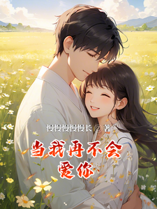 《当我再不会爱你》全集免费在线阅读（江玉笛秋芊）