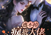 已完结小说《逃不掉！疯批大佬强娶小傻妻！》章节免费阅读-瑞奇文学