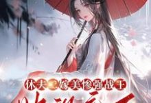 沈清若小说完整版《休夫二嫁美惨强战王，她飒疯了》免费阅读-瑞奇文学