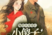 《嫁给兵哥哥后，小傻子她福气满满》小说免费阅读完整版-瑞奇文学