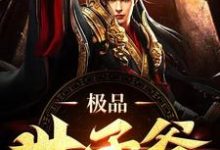 极品世子爷苏哲，极品世子爷章节在线阅读-瑞奇文学