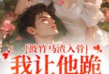 苏锦盛晏庭小说被竹马渣入骨，我让他跪地叫婶婶在线阅读章节-瑞奇文学