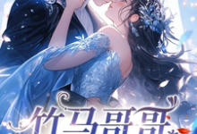 《竹马哥哥对我图谋不轨》小说林思弈涂木木章节章节免费在线阅读-瑞奇文学