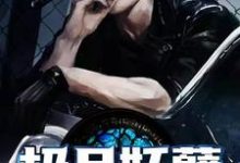 哪里能找到极品妖孽小说的全部章节?-瑞奇文学