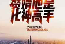 赘婿他是化神高手免费阅读，赘婿他是化神高手章节在线阅读-瑞奇文学