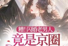 小说完整版《糟!闪婚老男人竟是京圈太子爷》免费阅读-瑞奇文学