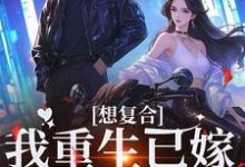 完结版《想复合？我重生已嫁超级豪门》章节阅读-瑞奇文学