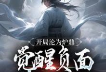 叶不凡小说免费阅读完整版-瑞奇文学