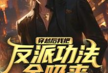 穿越后我把反派功法全吸来小说阅读，穿越后我把反派功法全吸来完结版-瑞奇文学