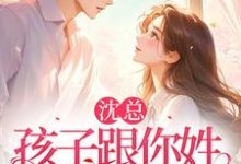 沈总，孩子跟你姓，谁的你别管完整版小说，沈总，孩子跟你姓，谁的你别管免费阅读-瑞奇文学