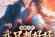 穿越古代,我只想好好发家致富这本小说怎么样?免费在线阅读试试-瑞奇文学