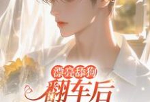 漂亮舔狗翻车后逃不掉了完整版小说免费阅读，漂亮舔狗翻车后逃不掉了小说-瑞奇文学