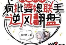 小说《闺蜜双穿:疯批婆媳联手逆风翻盘》完整版在线章节免费阅读-瑞奇文学