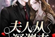 完结版《夫人从深渊来》免费阅读-瑞奇文学