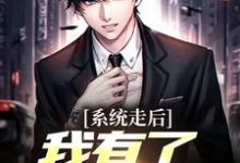 系统走后,我有了亿万资产这本小说在哪里可以看?哪里有免费试读章节?-瑞奇文学