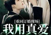 重回订婚现场,我用真爱报以情完整版小说,重回订婚现场,我用真爱报以情沐宛况野-瑞奇文学