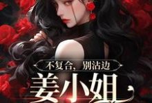 不复合，别沾边，姜小姐又美又飒小说的免费电子版在哪里可以下载或阅读？-瑞奇文学