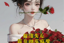 小说《我消失后，霸总彻底疯魔》完整版在线章节免费阅读-瑞奇文学